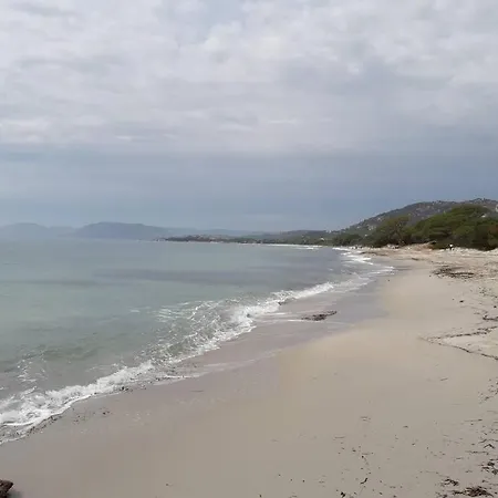 4 Pers Coeur Du Lavandou Apartment Le Lavandou